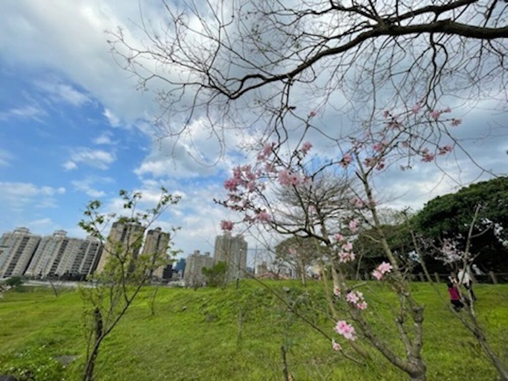 陽光運動公園最適合親子活動